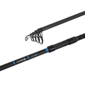 Delphin CAPRI Tele NXT 240cm/60g teleskopski štap