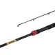 Delphin MURENA POWER 300cm/125g/2 dijela spinning štap