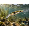 Delphin Wobby Jerk-DP Mirror 9cm 12,5gr Wobbler