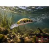 Delphin Wobby Trout-SH Mirror 4cm 4gr Wobbler