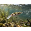 Delphin Wobby Crank-DP Phantom 7cm 12gr Wobbler