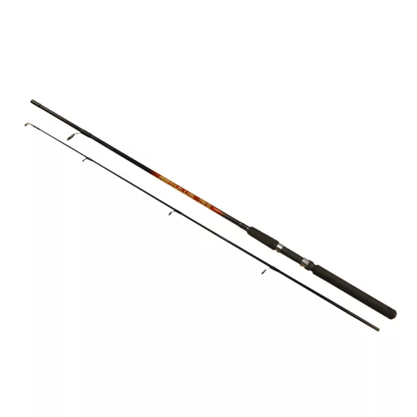 Arno Regulus Rod 1,98m 10-30gr 2 dijelni Spinning štap