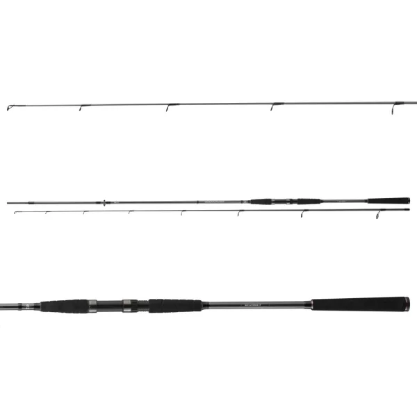 Daiwa Seahunter X Sea Trout 3,10m 10-40gr 2 részes Tengeri Bot