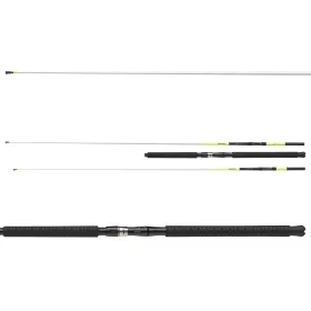   Daiwa Sealine Xtreme Interline 2,35m 15-30lb 2 részes Tengeri Bot