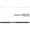 Daiwa Sealine Xtreme Interline 2,35m 30-50lb 2 részes Tengeri Bot