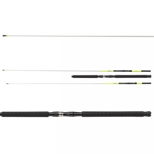 Daiwa Sealine Xtreme Interline 2,35m 30-50lb 2 részes Tengeri Bot