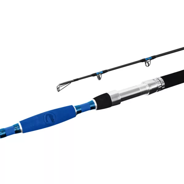 Delphin Hazard 3,10m 500gr 2-dijelni štap za soma