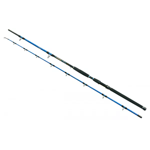 Wizard Cat Pro Power 2-dijelni 600-800gr 3,00m Štap za soma
