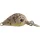 Rapture Pro Hot Buzz Area S COL 2,5cm 3gr Vobler