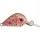 Rapture Pro Hot Buzz Area S CAS 2,5cm 3gr Vobler