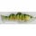 Rapture Silent Swim S Perch 15cm 48gr Vobler