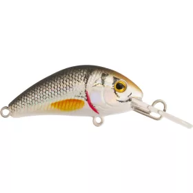 Rapture Pro Evoque F NTR 4cm 3,5gr Vobler