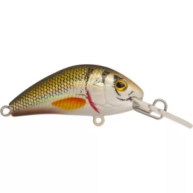 Rapture Pro Evoque F NTG 4cm 3,5gr Vobler