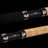 NEVIS Motive Carp Match 420 30g Match štap