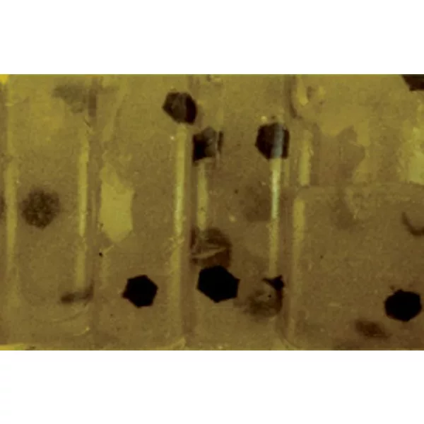 Rapture ULC Alien Craw 2.5cm 0,5gr Watermelon Mekani gumeni mamac 12db