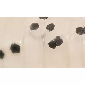   Rapture ULC Dragonfly Nymph 4,2cm 1gr Pearl Blue Mamac od meke gume 8 kom