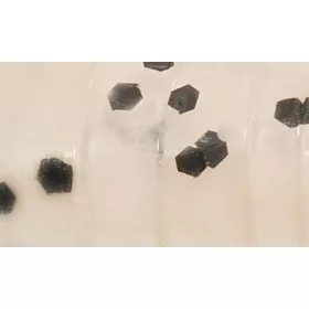   Rapture ULC Water Shrimp 6,2cm 1gr Pearl Blue Mekana Guma Mamac 8kom