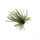Rapture TG Finesse Rub Jig 2,3gr #01 Watermelon Jig sa suknjicom