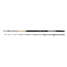 Nevis Powercat BX 2,70m 200-400gr 2-dijelni Štap za somove