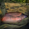 CARP ACADEMY Glava meredova za boile 100x100 (zelena) Glava meredova Meredov za boile