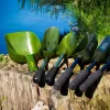 Carp Academy Baiting Spoon Žlica za hranjenje XL Duboka