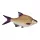 Ribani Jastuk Plošica 70Cm