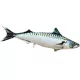 EnergoTeam The Atlantic Skuša 60cm Riblji jastuk