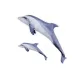 EnergoTeam The Bottlenose Dolphin Grey 125cm Riblji jastuk
