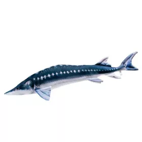   EnergoTeam The Monster European Sturgeon 200cm Jastuk s ribom