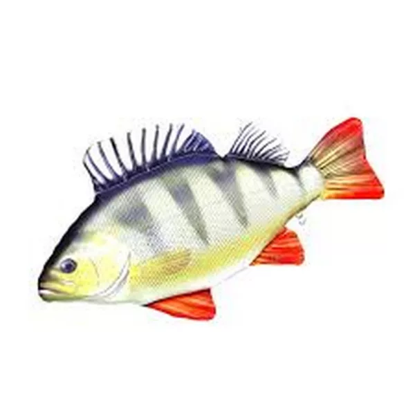 EnergoTeam The Monster Perch 160 cm jastuk u obliku ribe