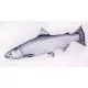 EnergoTeam The Chinook Salmon 90cm Riblji jastuk