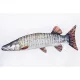 EnergoTeam The Muskellunge 80cm Riblji Jastuk