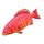 EnergoTeam The Coral Trout 81cm Riblji Jastuk