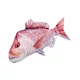 EnergoTeam The Snapper 102cm Riblji Jastuk