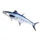 EnergoTeam The Mackerel Spanish 102cm Riblji Jastuk