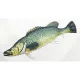EnergoTeam The Murray Cod 100cm Riblji Jastuk