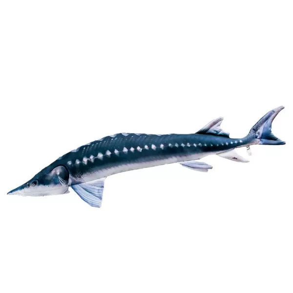 EnergoTeam The European Sturgeon 36cm Riblji Jastuk