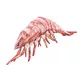 EnergoTeam The Tiger Prawn 65cm Riblji Jastuk