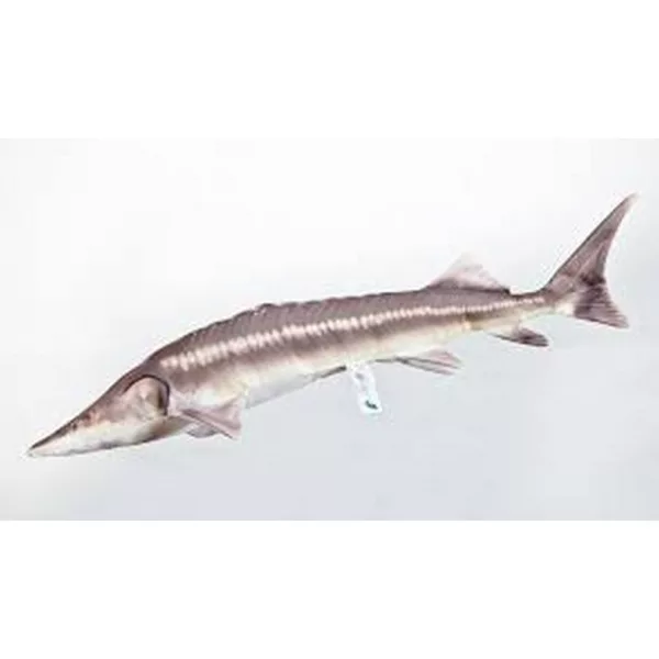 EnergoTeam The Sterlet Sturgeon New 60cm Jastuk za ribu