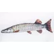 EnergoTeam The Monster Muskie 200cm Riblji jastuk