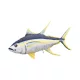 EnergoTeam The Monster Yellowfin Tuna 160cm Riblji Jastuk