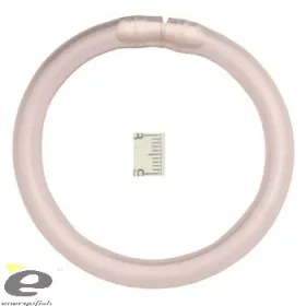 Prstenasti indikator ugriza Sa svjetlećim uloškom Šareni