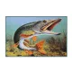 Delphin Tepih 3D štuka 60x40cm