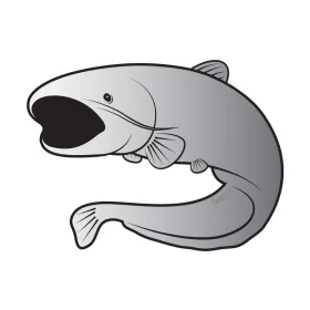 Delphin Samoljepljivo som SILVER