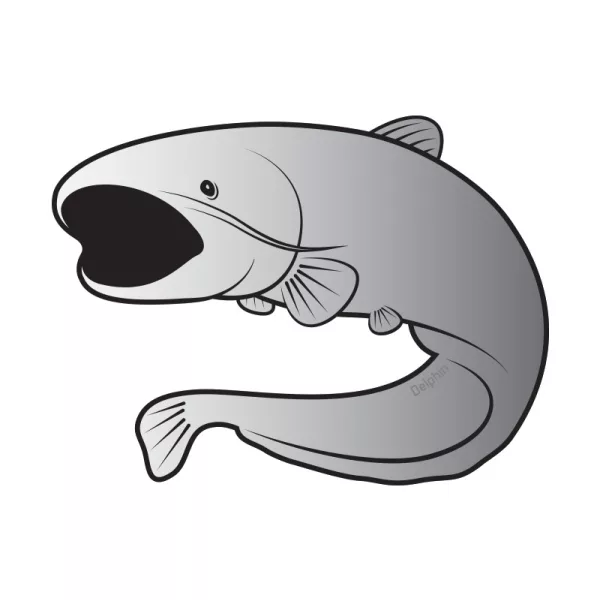 Delphin Samoljepljivo som SILVER