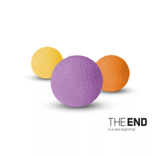 Delphin THE END ZIG RIG MIX / 10 kom 15mm