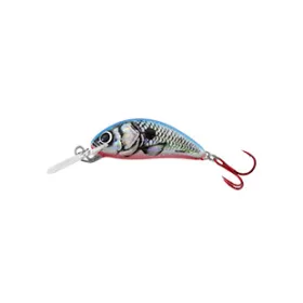 SALMO VARALICA HORNET H3F SBS