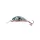 SALMO VARALICA HORNET H3F SBS