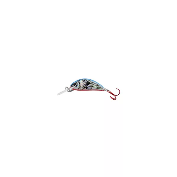 SALMO VARALICA HORNET H3F SBS