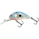 Salmo Hornet H5F SBS 5cm 7gr Wobbler